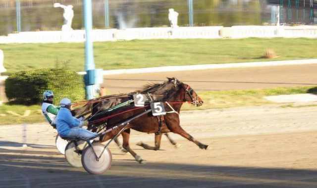 Taranto, un giorno all'ippodromo: tra corse, scommesse, cavalli e drivers